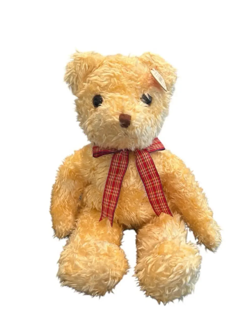 NWT Vintage Ty Beanie Babies Beanie Buddy Shagginton Bear Stuffed Animal